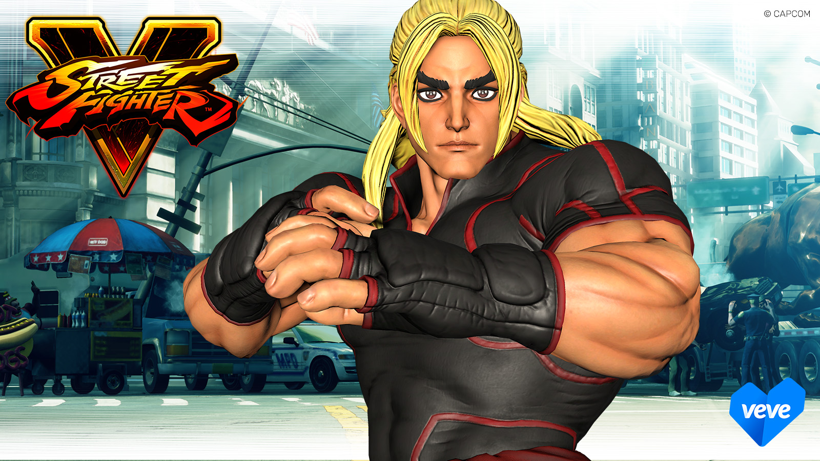 Street Fighter collectibles